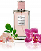 Le Parfumeur  L'Art Des Sens ���